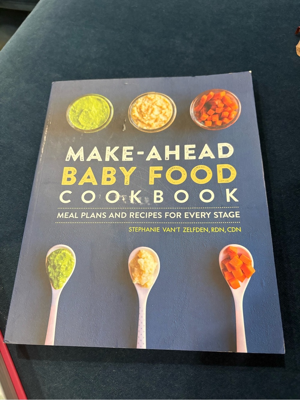 Make-Ahead Baby Food Cookbook by Stephanie Van't Zelfden - Navy